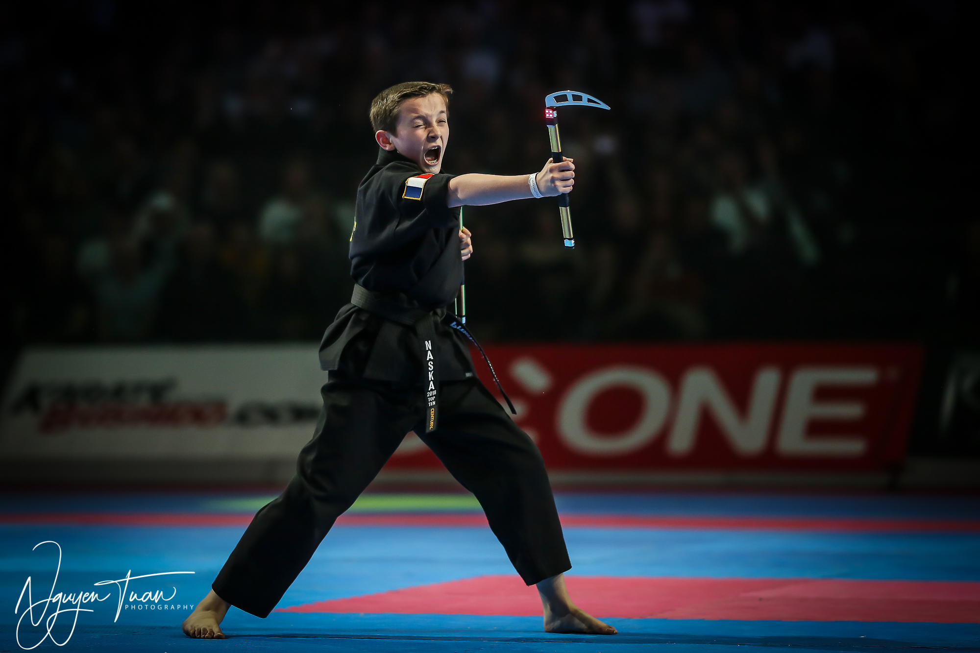 20190324 Festival des Arts Martiaux 4802